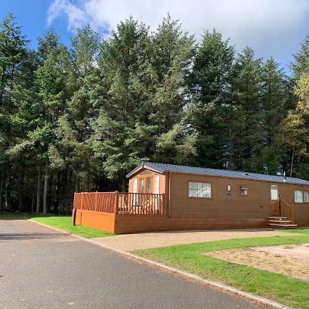 Rose Lodge - Hot Tub Getaway - Percy Woods - Pet Friendly Morpeth Exterior foto